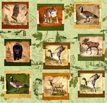 Wilderness Park Collage Sampler 28028 728  12 Blocks