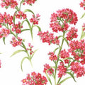 Wildflowers IV Floral Forget Me Nots Pink 32364 13
