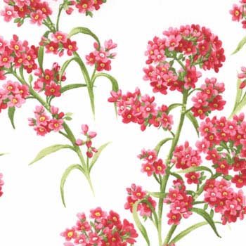Wildflowers IV Floral Forget Me Nots Pink 32364 13