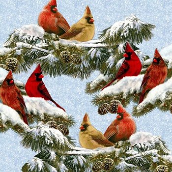 Winter Cardinals 39004 Birds on Blue