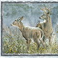 Winter Whispers Deer Panel 38512 425