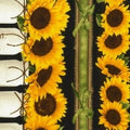 You are my Sunshine border stripe C5254 Blk