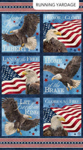Stars & Stripes 13 Block Panel 24" DP27879-49
