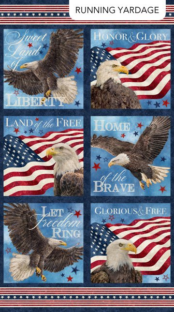 Stars & Stripes 13 Block Panel 24" DP27879-49