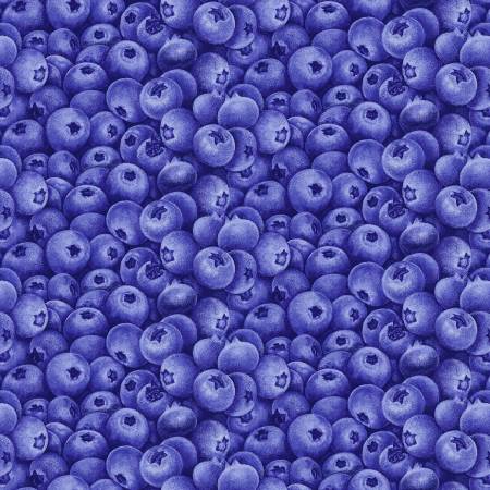 Berrylicious Blue Packed Blueberries 1576-77