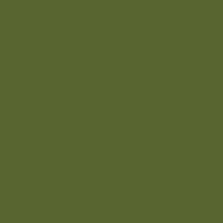 Buttermilk wool-solids Sage Solid 2229W-66  52" Wide