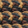 For The Love Of Labs 30309-X Black