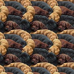 For The Love Of Labs 30309-X Black