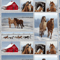 Horse Whisperer Blocks 5676-17 Multi