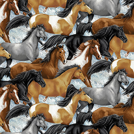 Horse Whisperer Horses 5677-39 Multi