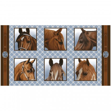 Horse Whisperer Panel SEF5685-13 24" x 44