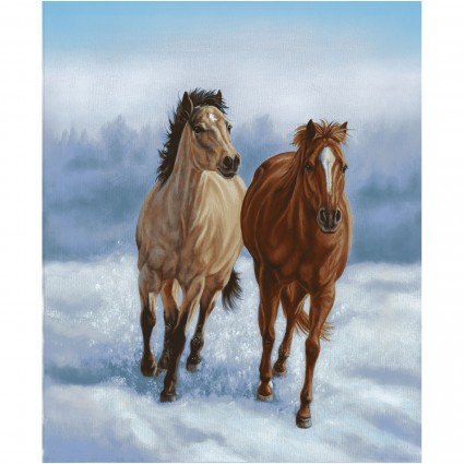 Horse Whisperer  Panel SEF5686P-13 36" x 44