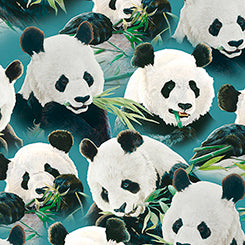 IMPERIAL PANDA PACKED PANDAS