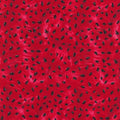 Red Watermelon Seeds C1173-RED